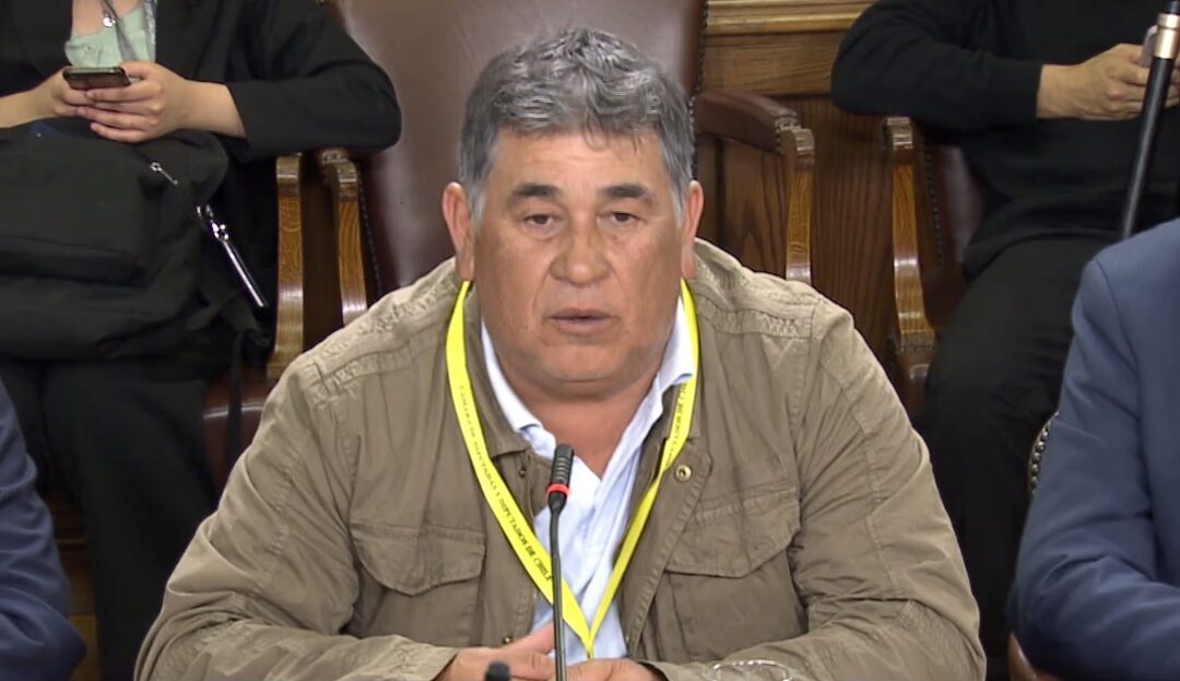 CONAPACH hace un llamado al Presidente Gabriel Boric para fijar fraccionamiento de sardina española y anchoveta en el norte