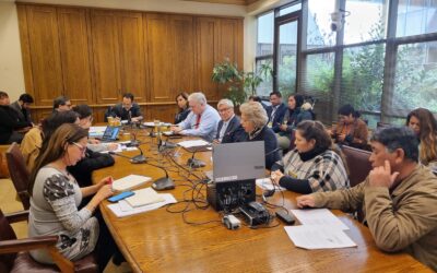 Pescadoras y pescadores artesanales se refieren a las dificultades que podría acarrear un cupo para actividades conexas en la administración de caletas