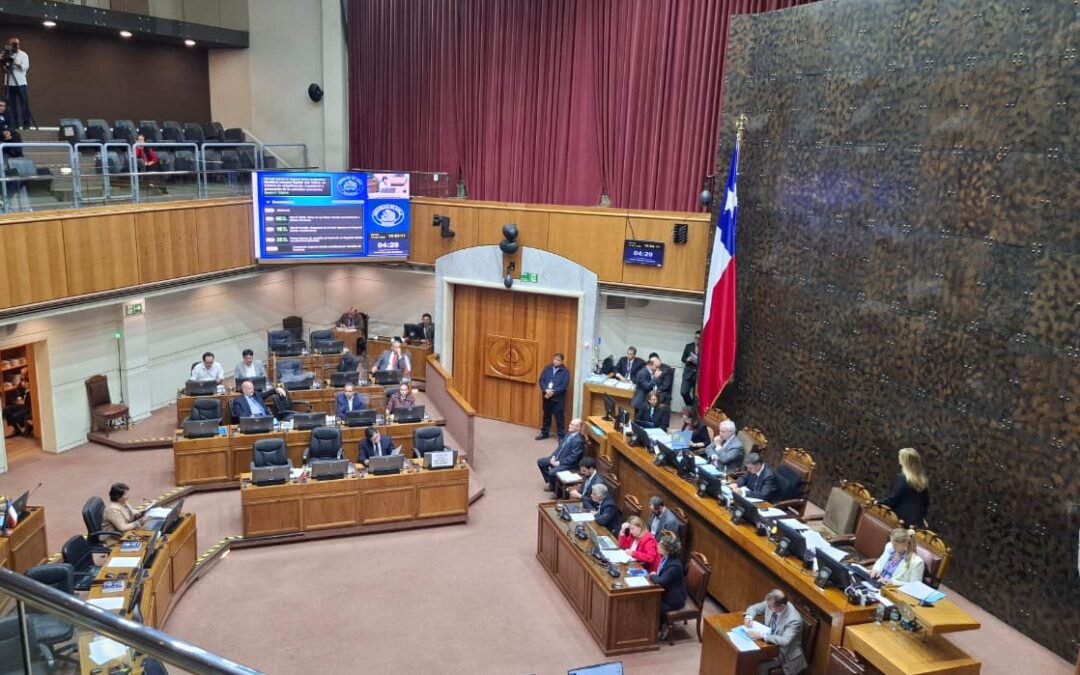 Senado aprueba proyecto de ley de fraccionamiento: Merluza común pasa a comisión mixta