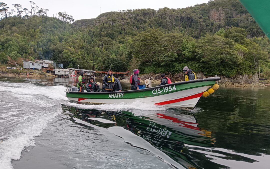 Región de Aysén: Sindicato de Puerto Gala es pionero en conformación de comercializadora de productos del mar