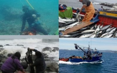 CONAPACH: Preocupación y molestia en la pesca artesanal tras la subida del precio de los combustibles