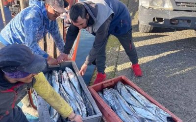 Consejo Nacional de Pesca revisa los ejes programáticos de la Subsecretaría de Pesca y Acuicultura