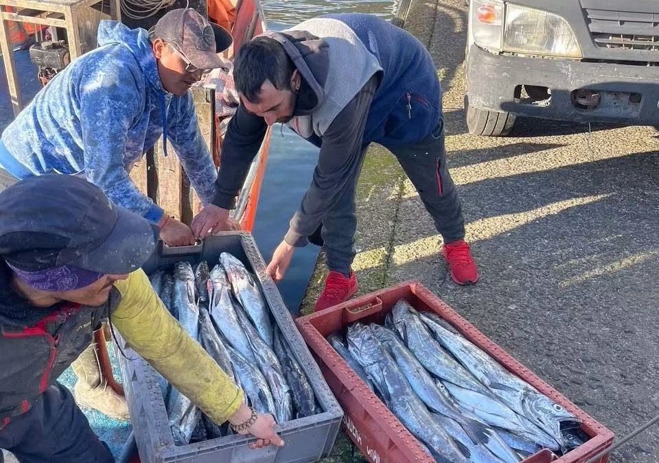 Consejo Nacional de Pesca revisa los ejes programáticos de la Subsecretaría de Pesca y Acuicultura